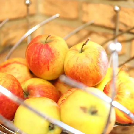 מלון 12 Baeume Werne