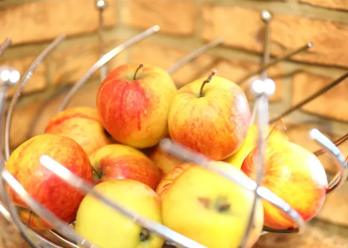 Hotel 12 Baeume Werne